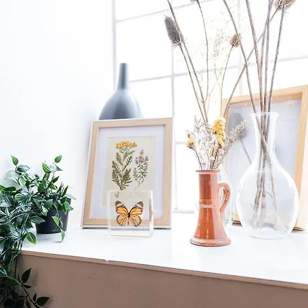 Elegance Et Bien-etre Dans Notre T2 A Apartamento *